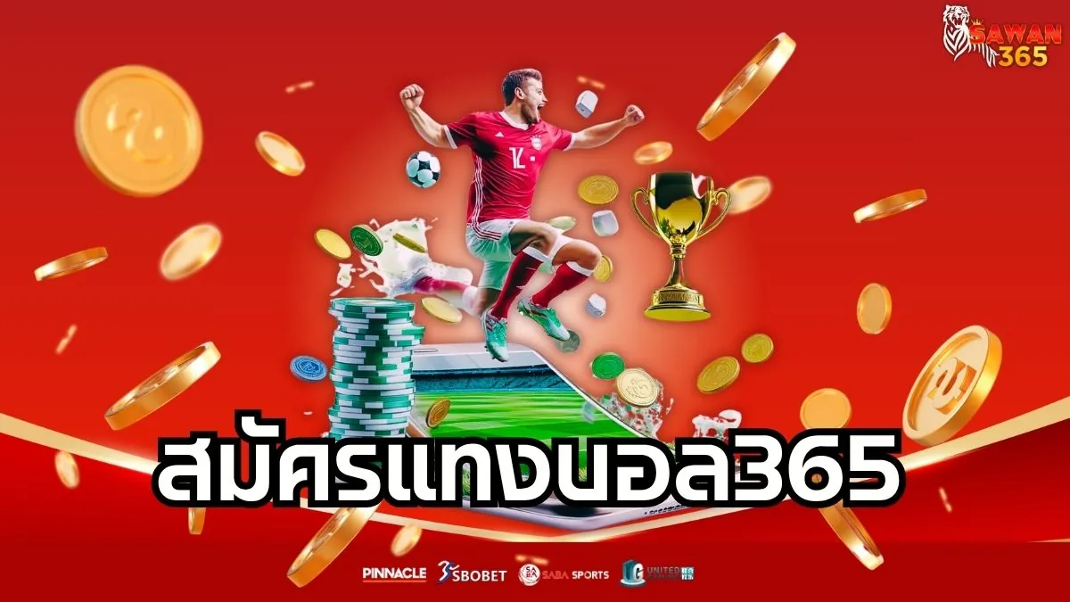 Read more about the article สมัครแทงบอล365 ช่องทางเดิมพันบอลที่มั่นคง ปลอดภัย และจ่ายจริงทุกบิล